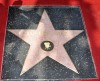 Nom du fichier=staronthehollywoodwalkoffame_66.jpg
Taille du fichier=928Ko
Dimensions : 1831x1500
Ajouté le : 23 Juin 2009 staronthehollywoodwalkoffame_66.jpg