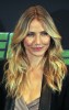 photocalltheGreenHornetBerlin_11.jpg
