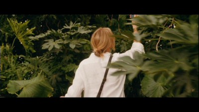 Cliquer pour voir l'image en taille réelle