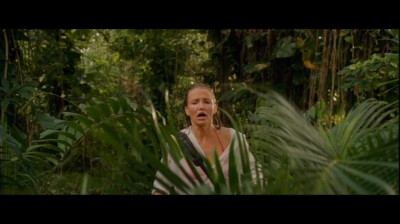 Cliquer pour voir l'image en taille réelle