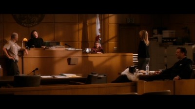 Cliquer pour voir l'image en taille réelle
