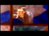 PDVD_003.JPG