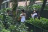 inhawaiavecKellys22j_07.jpg