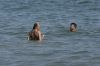 inbikinionthebeachinMalibuJuly14_66.jpg