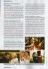 cosmopolitan2006_03.jpg